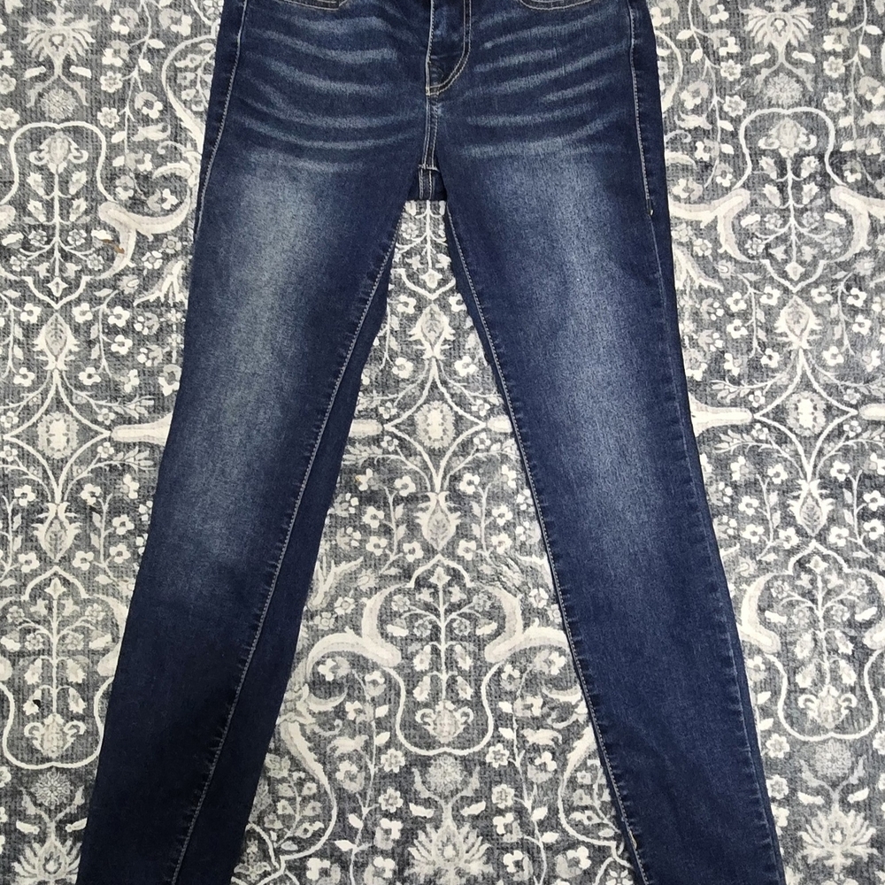 True Religion Indigo Skinny Jeans